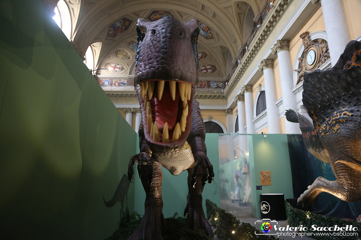 VBS_1040 - Dinosauri. Terra dei giganti.jpg